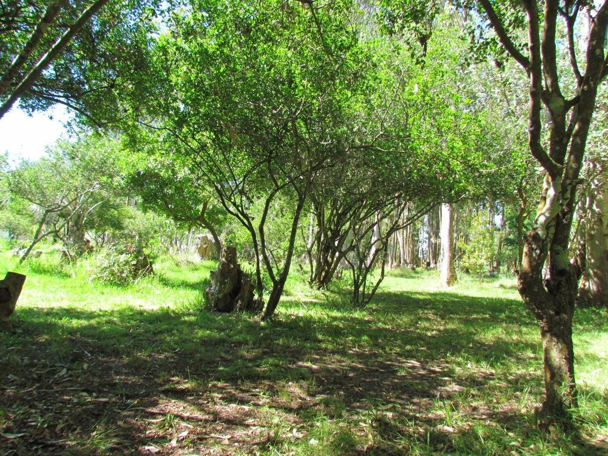 La Posta De La Laguna La Paloma Bagian luar foto